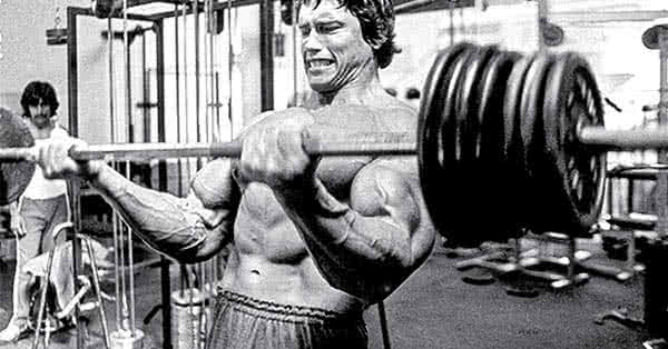 Full body routine, as Arnold did it Full body routine, as Arnold did it
